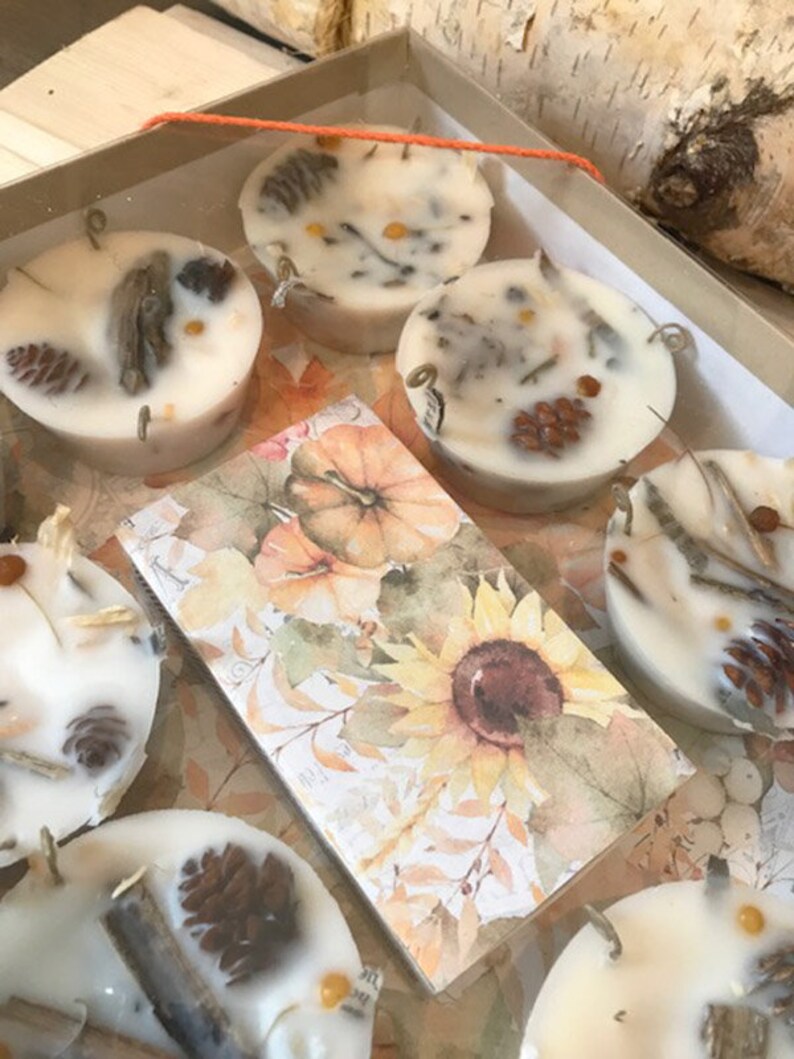 il_794xN.2617263319_atzg.jpg SET OF 10 FIRESTARTERS Autumn Housewarming Gift, Indoor Woodstove Fireplace Fire Starters, Autumn Hygge Harvest Housewarming - Image 1