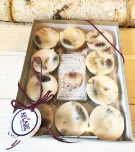 SET OF 10 FIRESTARTERS Autumn Housewarming Gift, Indoor Woodstove Fireplace Fire Starters, Autumn Hygge Harvest Housewarming