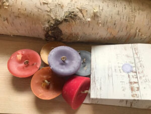 RUSTIC BOX 6 HARVEST Firestarters, Indoor Woodstove Fireplace Fire Starters, Housewarming Gift, Thanksgiving Gift