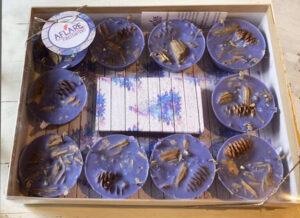 WINTER TREES Set OF 10 Fire Starters, Woodstove Fireplace Fire Starters, Winter Hygge Harvest Housewarming Holiday Cozy Winter Gift - Image 2